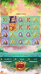 jktjkt · Lgd Monkey Kg